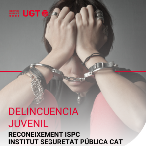 Delincuencia Juvenil. (Desembre 2025)