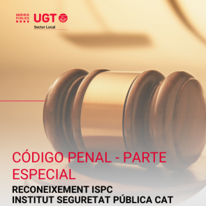 Código Penal - Parte Especial. (Maig 2026)