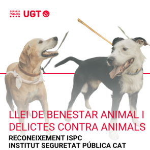 La Llei de benestar animal i els delictes contra els animals (Juny 2026)
